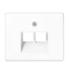 Крышка для сдвоенной телефонной и компьютерной розетки UAE; белая SL569-2UAWW Jung